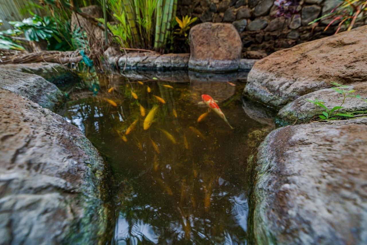 Studio With Mini Kitchen, Pool And Bbq, Pre-Renovation Summer Sale Kihei Ngoại thất bức ảnh